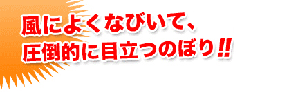 風によくなびいて、圧倒的に目立つのぼり‼撥水加工