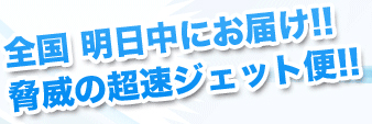 全国明日中にお届け‼脅威の超速ジェット便‼