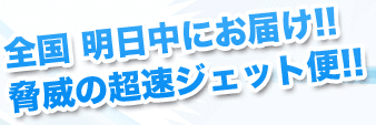 全国明日中にお届け‼脅威の超速ジェット便‼