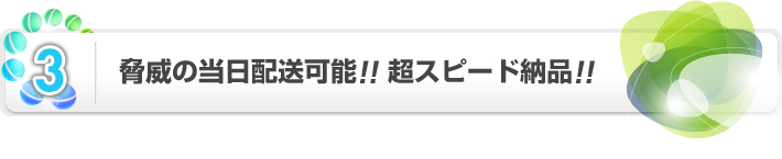 脅威の当日配送可能！！超スピード納品！！