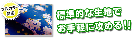 標準的な生地でお手軽に攻める！