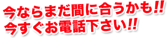 今ならまだ間に合うかも！！今すぐお電話ください！！